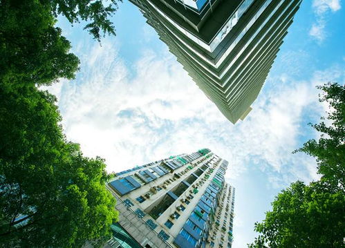 2019年,北京房地產(chǎn)市場(chǎng)充滿變革與挑戰(zhàn)